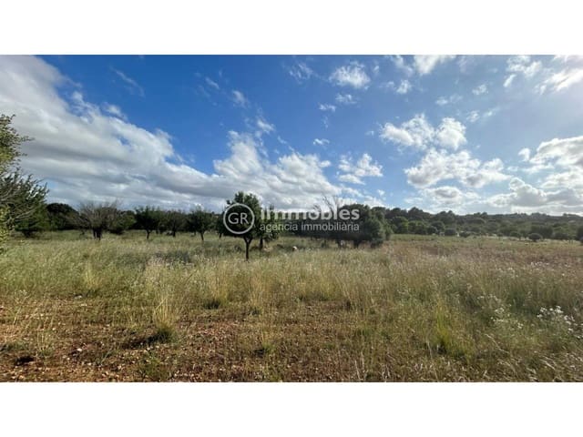 Terreno/Finca Rústica en Campanet en venta - 500.000 € (Ref: 9437997)