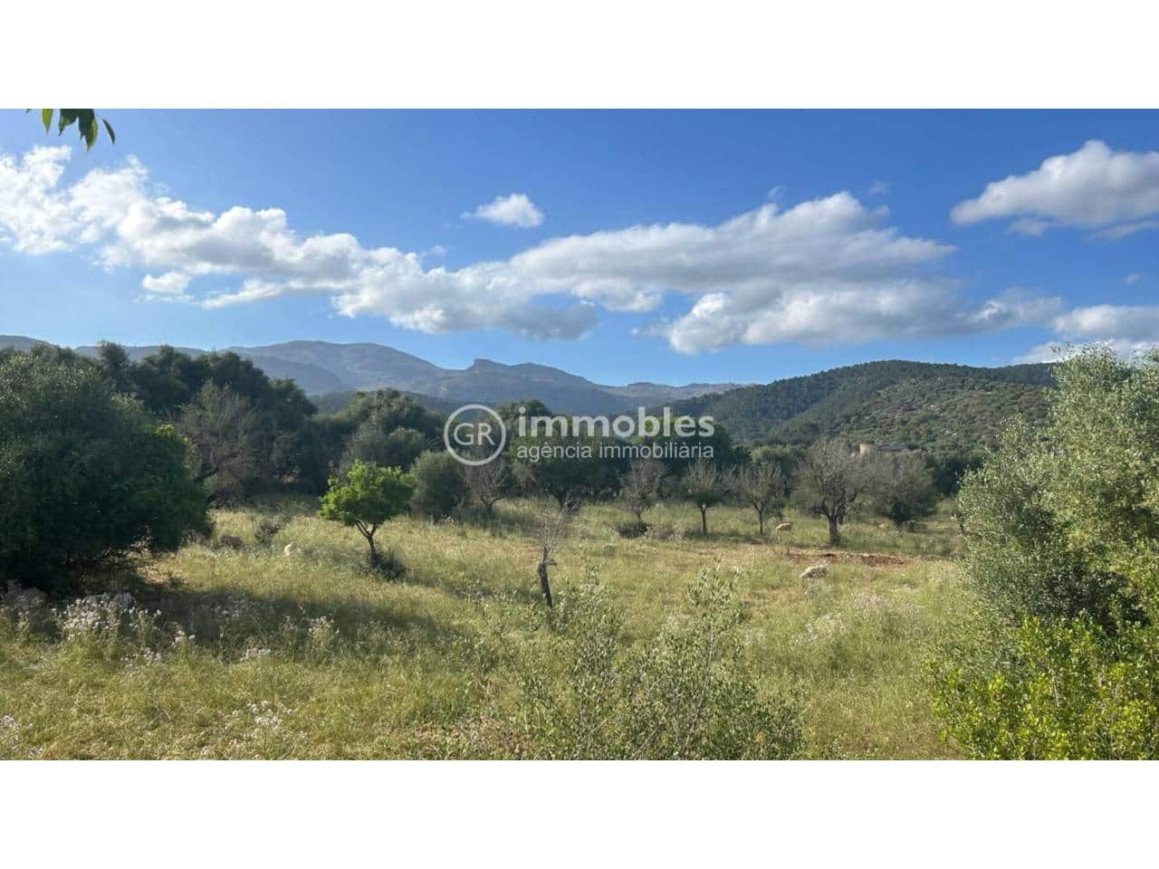 Terreno/Finca Rústica en Campanet en venta - 500.000 € (Ref: 9437997)