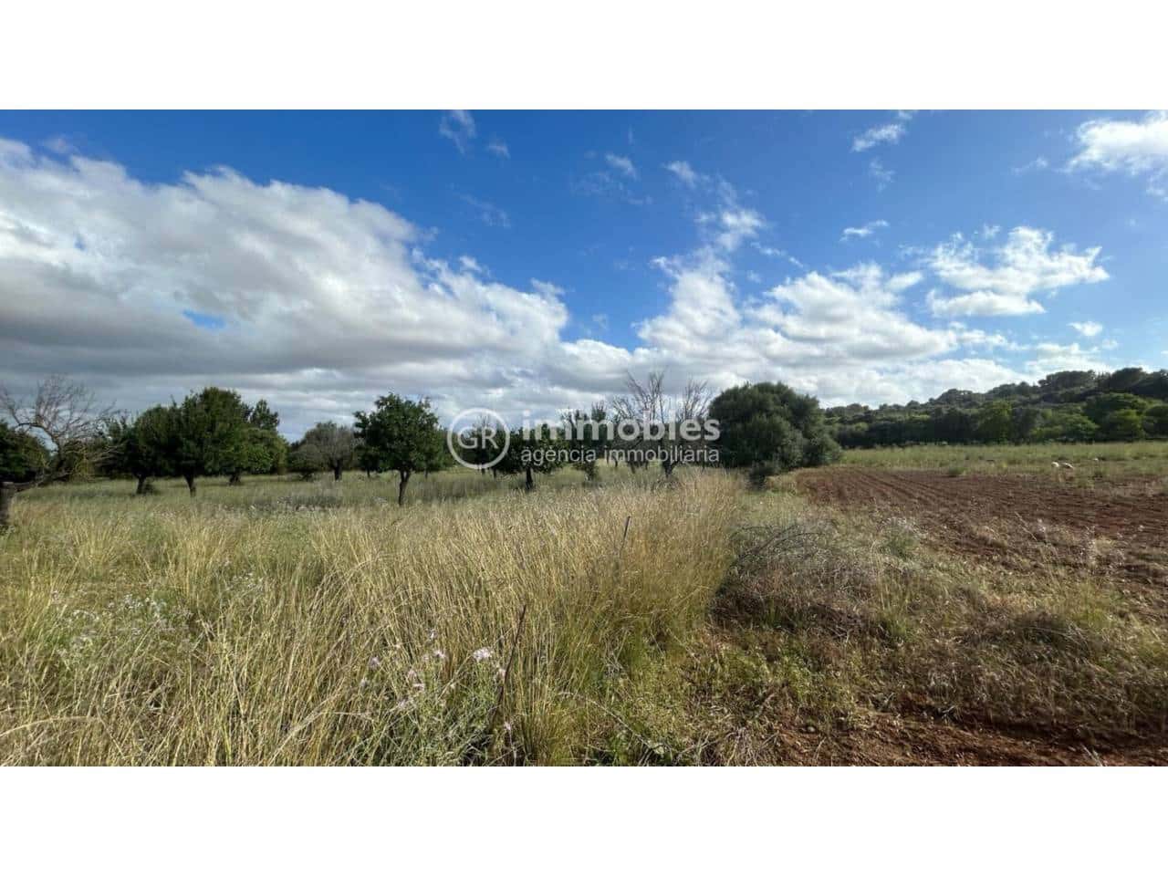 Terreno/Finca Rústica en Campanet en venta - 500.000 € (Ref: 9437997)