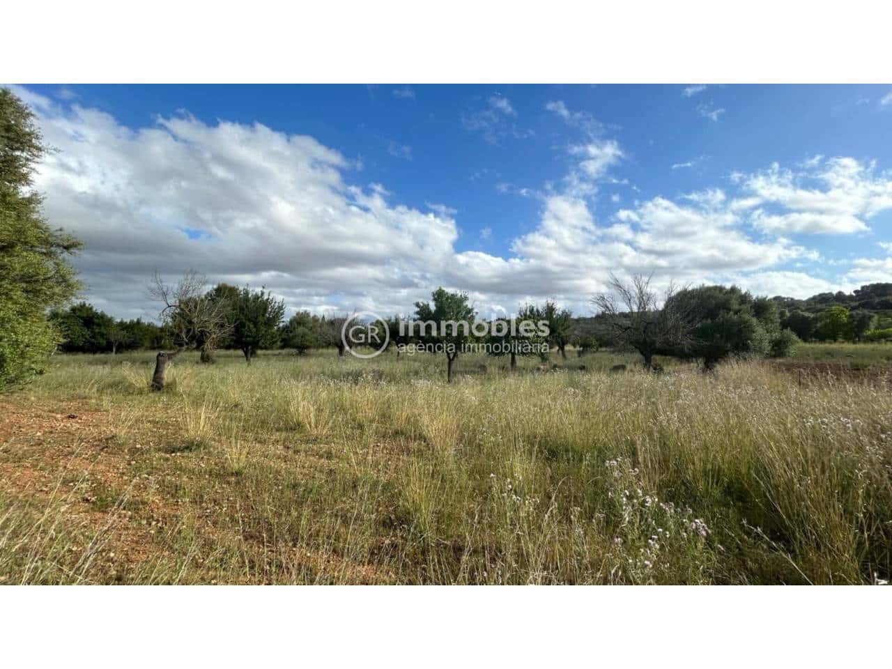 Terreno/Finca Rústica en Campanet en venta - 500.000 € (Ref: 9437997)