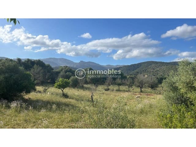 Terreno/Finca Rústica en Campanet en venta - 500.000 € (Ref: 9437997)