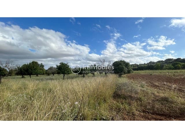 Terreno/Finca Rústica en Campanet en venta - 500.000 € (Ref: 9437997)
