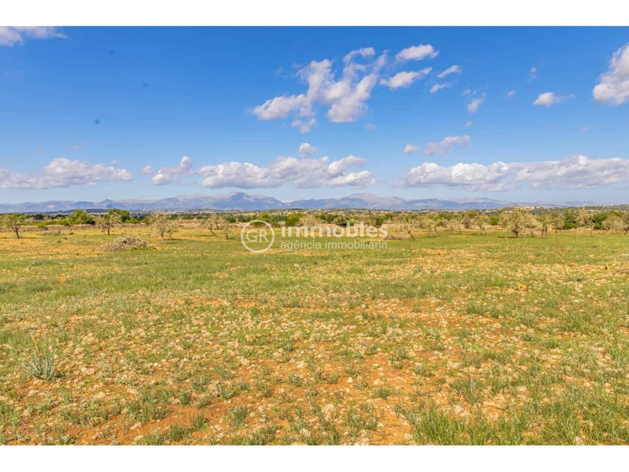 3 camera da letto Finca/Casa di Campagna in vendita in Ariany - 990.000 € (Rif: 9438000)