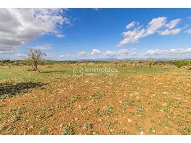 3 camera da letto Finca/Casa di Campagna in vendita in Ariany - 990.000 € (Rif: 9438000)