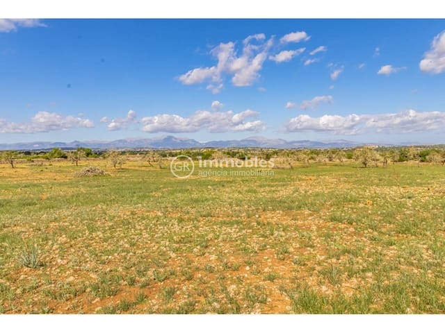 3 camera da letto Finca/Casa di Campagna in vendita in Ariany - 990.000 € (Rif: 9438000)