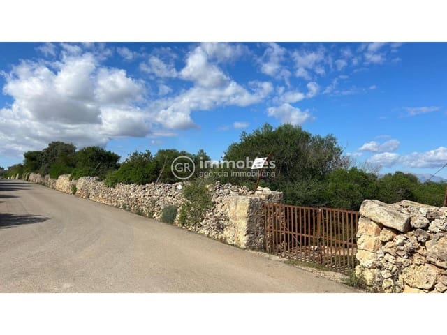 3 camera da letto Finca/Casa di Campagna in vendita in Ariany - 990.000 € (Rif: 9438000)