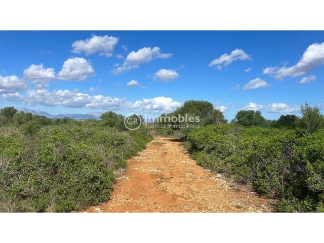 3 camera da letto Finca/Casa di Campagna in vendita in Ariany - 990.000 € (Rif: 9438000)