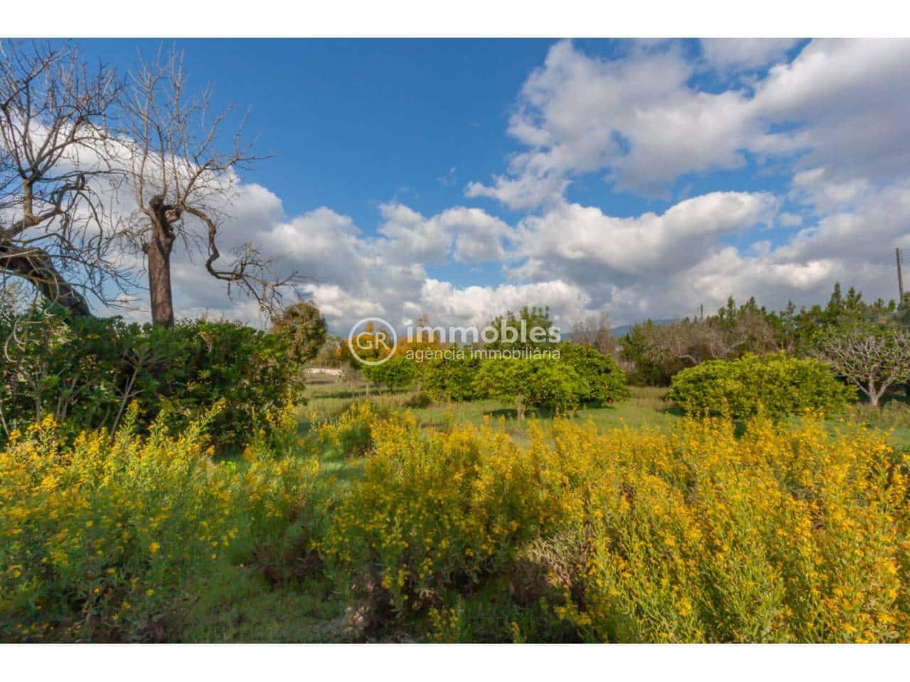 4 sypialnia Finka/Dom wiejski na sprzedaż w Inca - 475 000 € (Ref: 9438641)