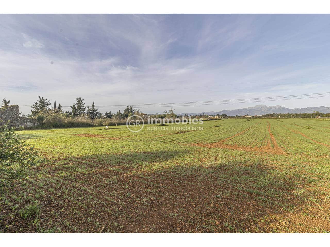 1 camera da letto Finca/Casa di Campagna in vendita in Muro con garage - 294.000 € (Rif: 9598196)