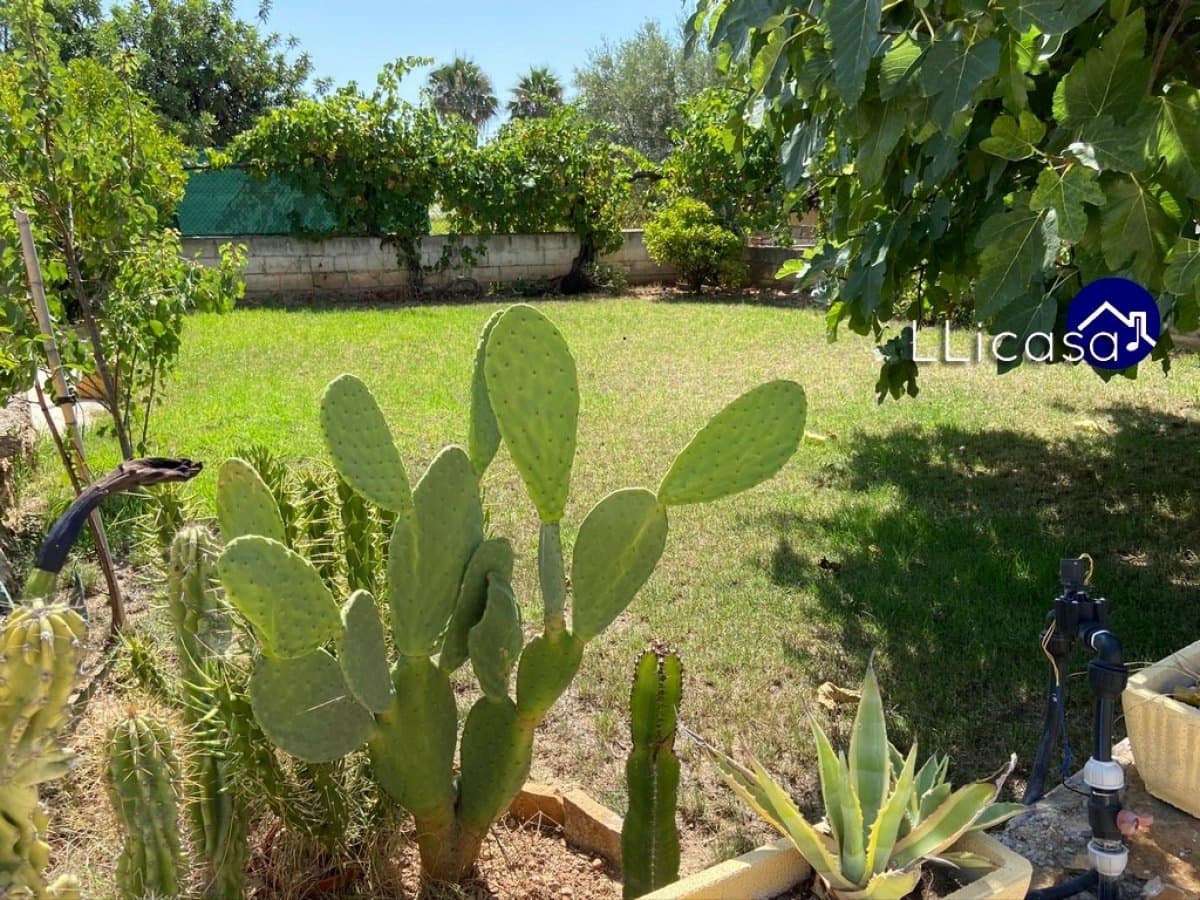 3 Zimmer Villa zu vermieten in Lliria mit Pool - 1.000 € (Ref: 6186483)