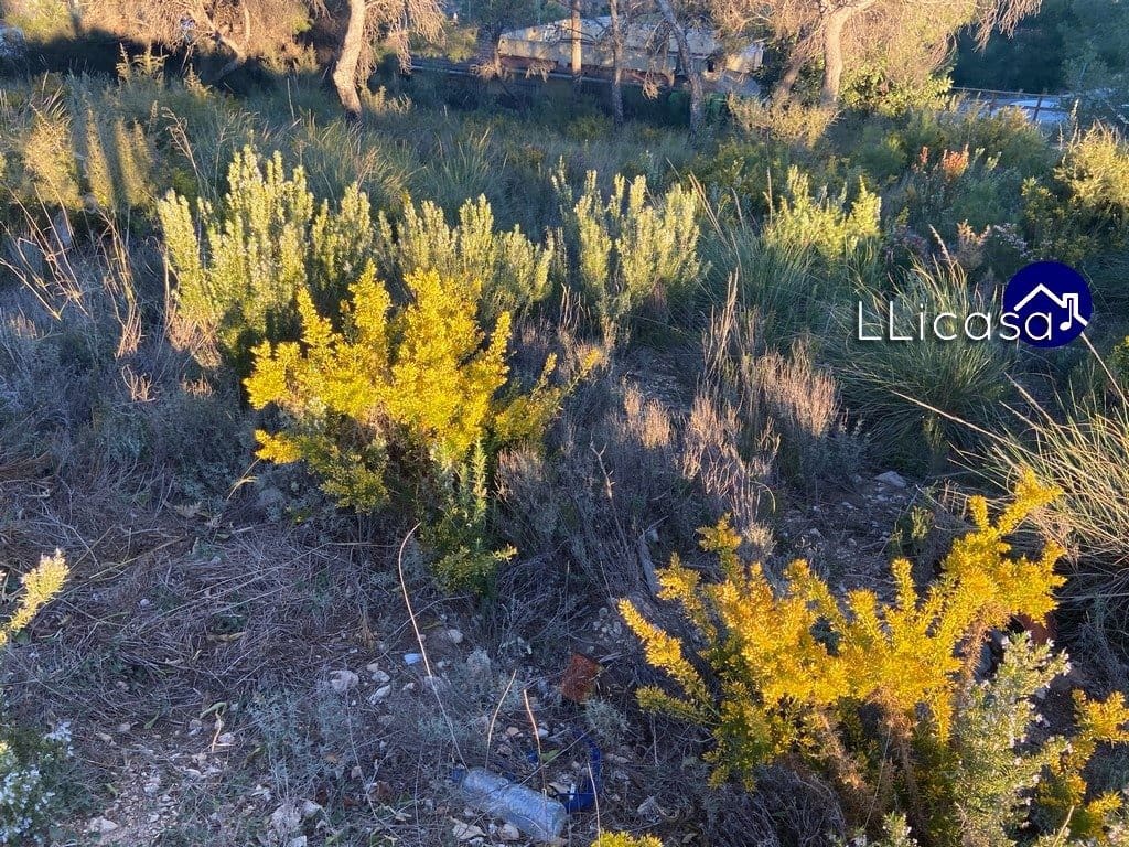 Bouwgrond te koop in Casinos - € 37.990 (Ref: 6186491)