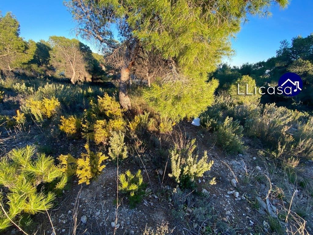 Bouwgrond te koop in Casinos - € 37.990 (Ref: 6186491)