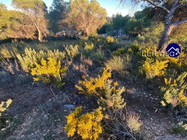 Building Plot for sale in Casinos - € 37,990 (Ref: 6186491)