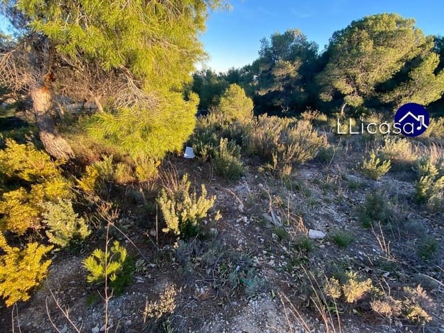 Building Plot for sale in Casinos - € 37,990 (Ref: 6186491)