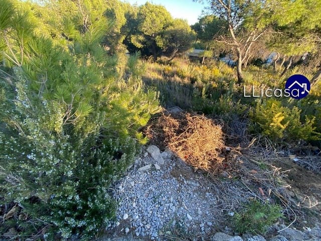 Building Plot for sale in Casinos - € 37,990 (Ref: 6186491)