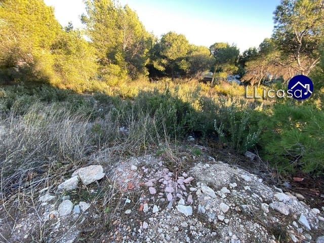 Building Plot for sale in Casinos - € 37,990 (Ref: 6186491)