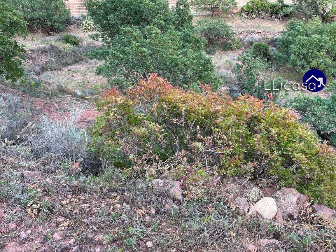 Działka budowlana na sprzedaż w Olocau - 28 000 € (Ref: 7445415)