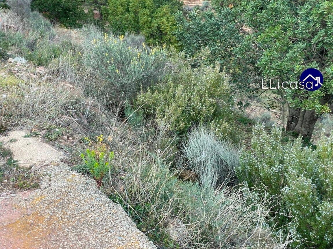 Działka budowlana na sprzedaż w Olocau - 28 000 € (Ref: 7445415)