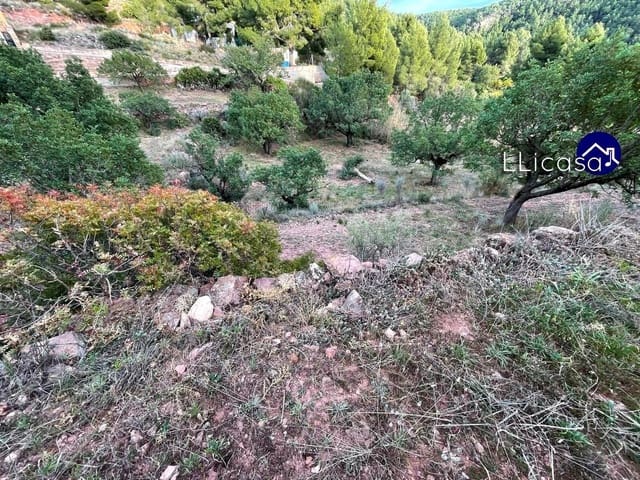 Building Plot for sale in Olocau - € 28,000 (Ref: 7445415)