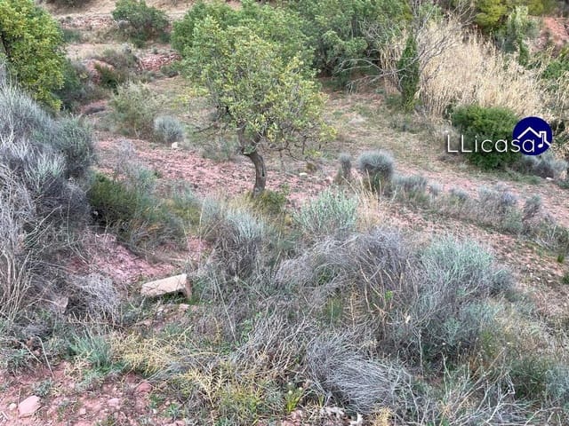 Building Plot for sale in Olocau - € 28,000 (Ref: 7445415)