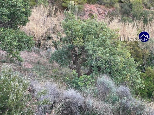 Building Plot for sale in Olocau - € 28,000 (Ref: 7445415)