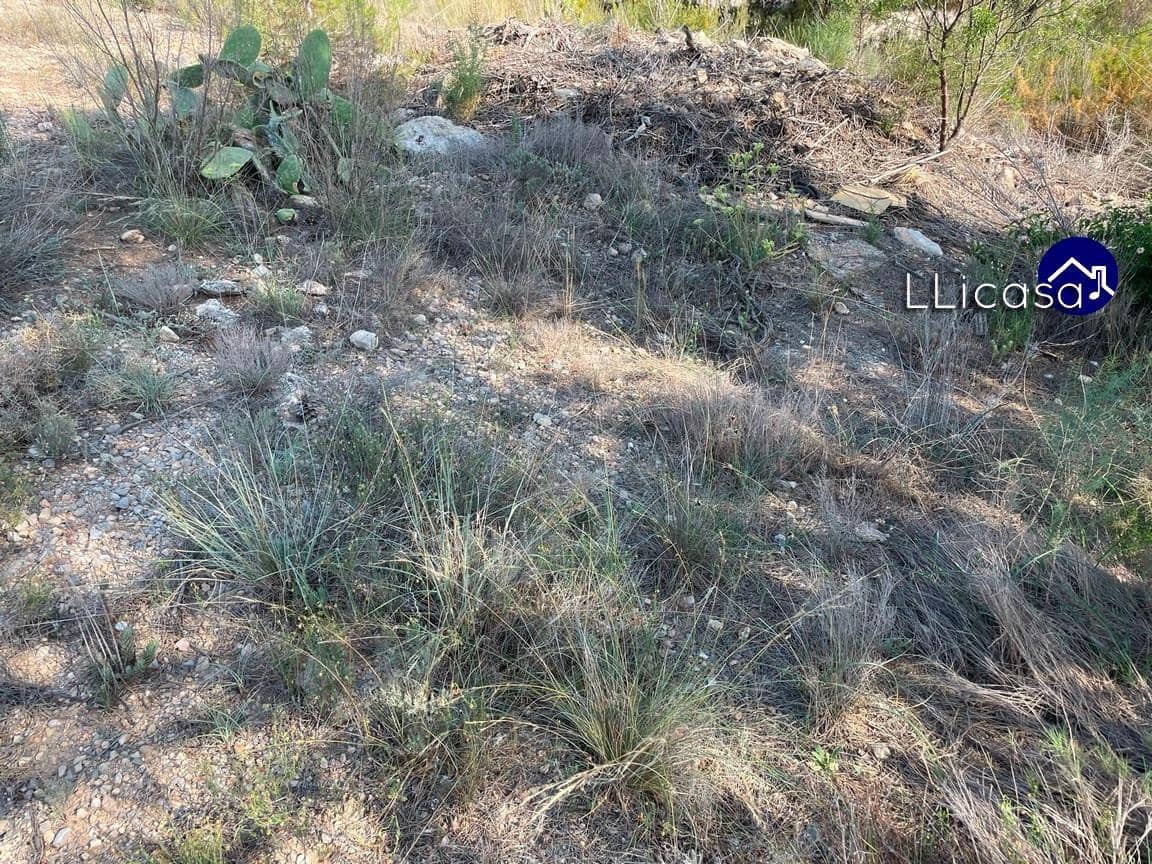 Działka budowlana na sprzedaż w Casinos - 42 000 € (Ref: 7713477)