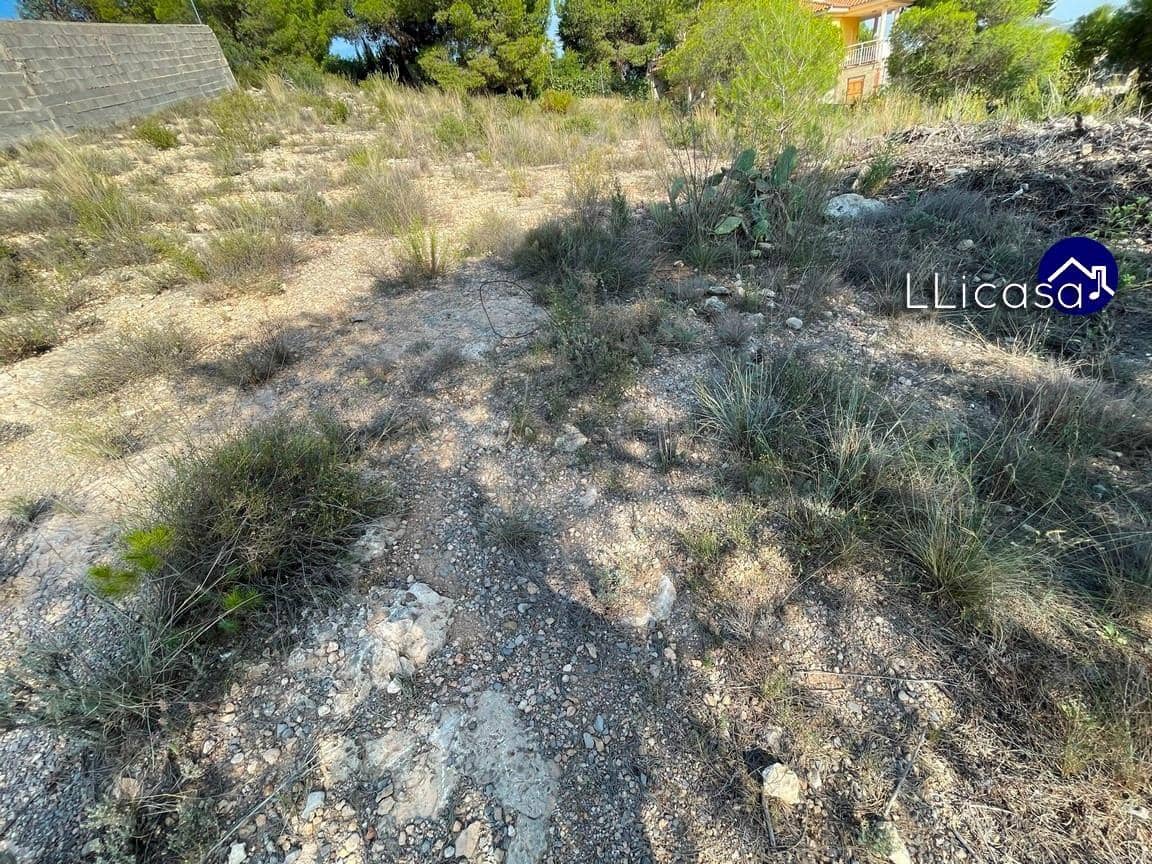 Działka budowlana na sprzedaż w Casinos - 42 000 € (Ref: 7713477)