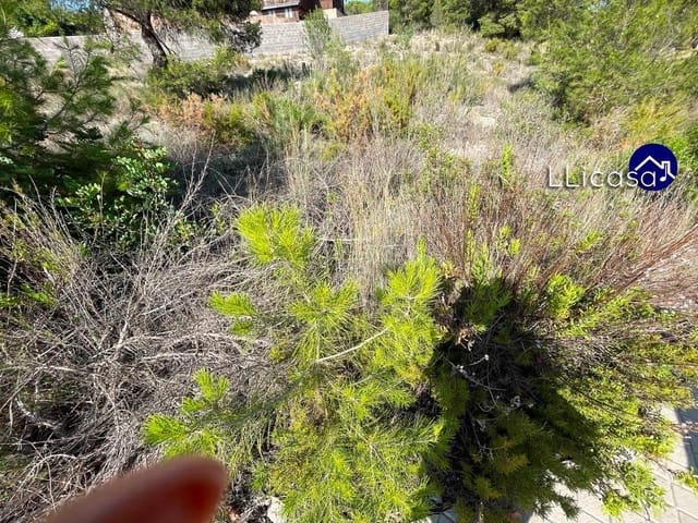 Building Plot for sale in Casinos - € 42,000 (Ref: 7713477)