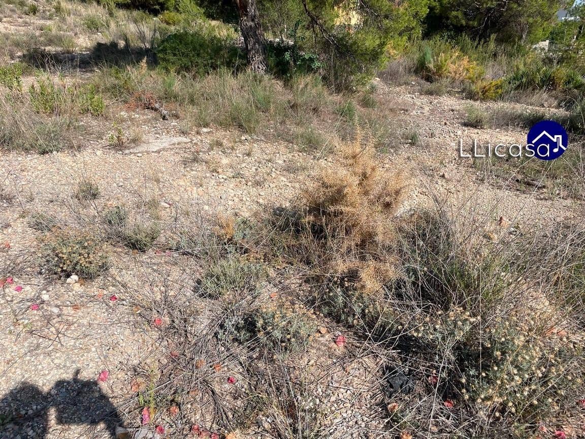 Działka budowlana na sprzedaż w Casinos - 42 000 € (Ref: 7713477)