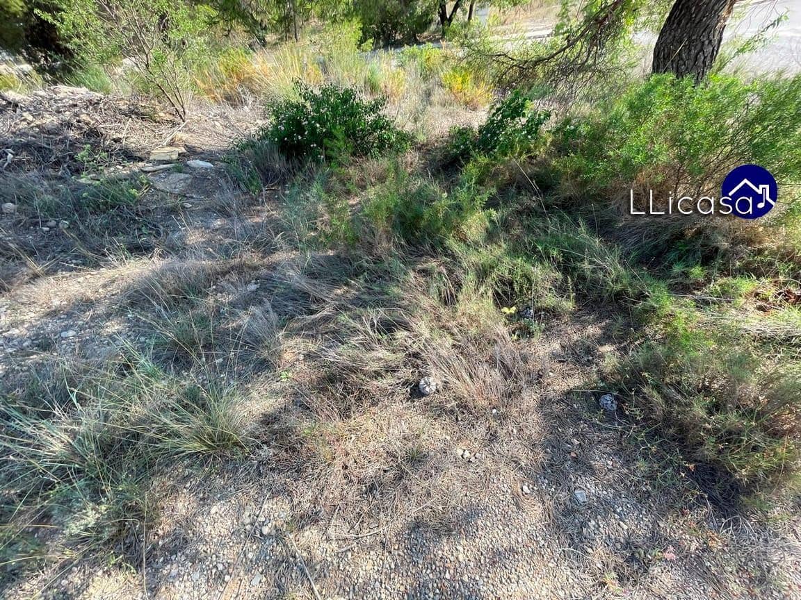 Działka budowlana na sprzedaż w Casinos - 42 000 € (Ref: 7713477)