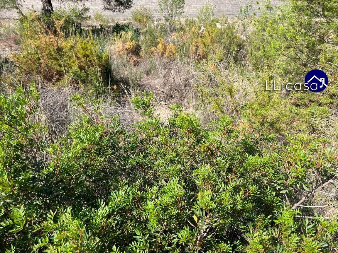 Działka budowlana na sprzedaż w Casinos - 42 000 € (Ref: 7713477)