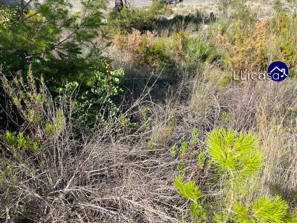 Działka budowlana na sprzedaż w Casinos - 42 000 € (Ref: 7713477)