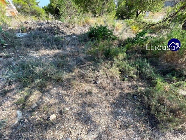 Building Plot for sale in Casinos - € 42,000 (Ref: 7713477)