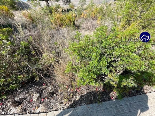 Building Plot for sale in Casinos - € 42,000 (Ref: 7713477)