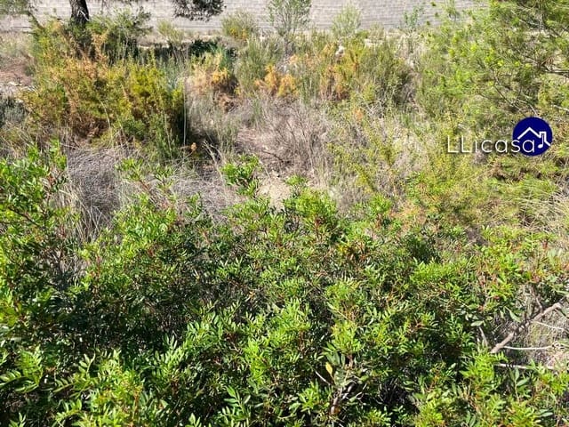 Building Plot for sale in Casinos - € 42,000 (Ref: 7713477)