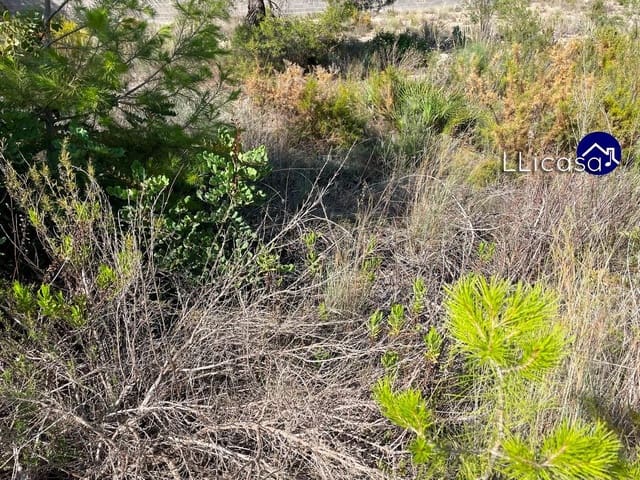 Building Plot for sale in Casinos - € 42,000 (Ref: 7713477)