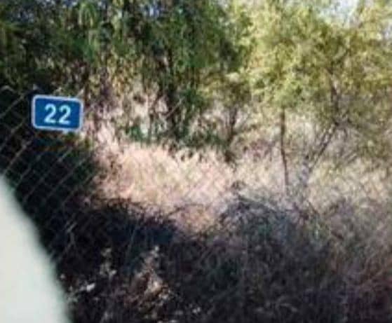 Bouwgrond te koop in Casinos - € 85.000 (Ref: 8534124)