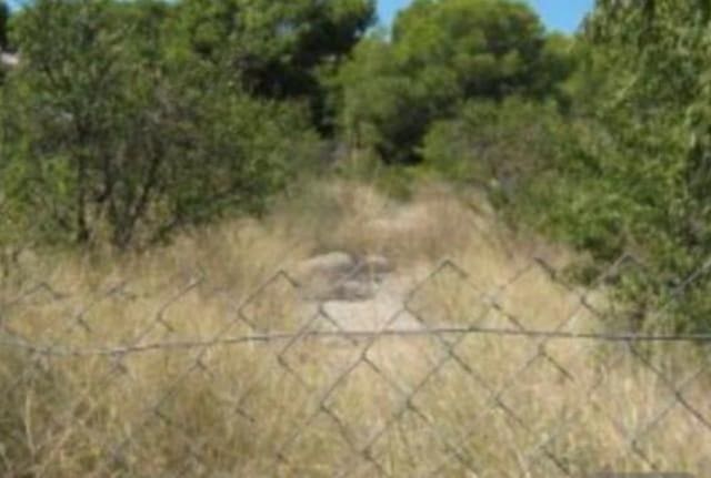 Tomt till salu i Casinos - 85 000 € (Ref: 8534124)