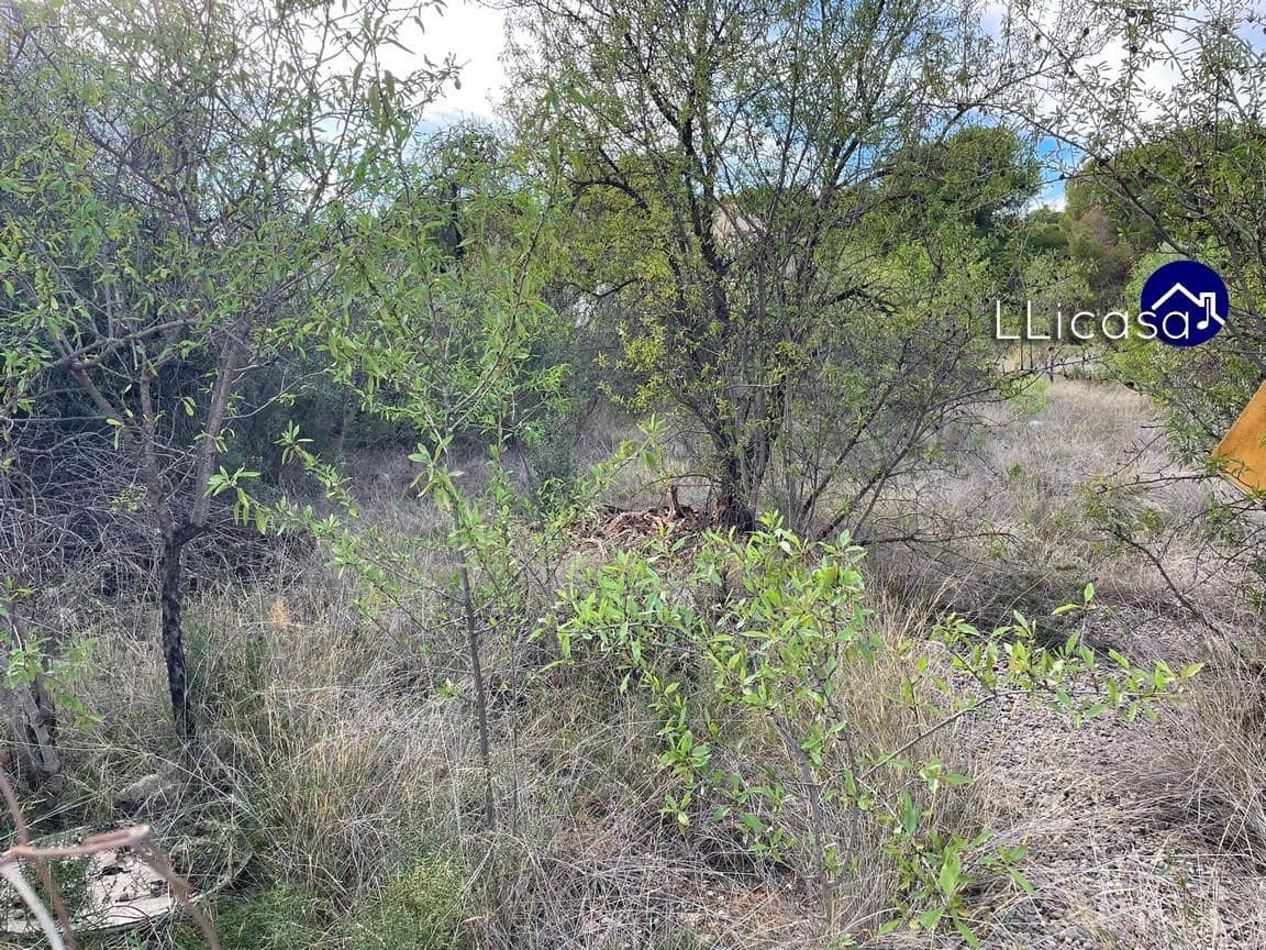 Bouwgrond te koop in Casinos - € 85.000 (Ref: 8534124)