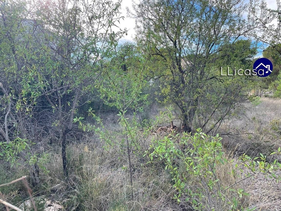 Bouwgrond te koop in Casinos - € 85.000 (Ref: 8534124)