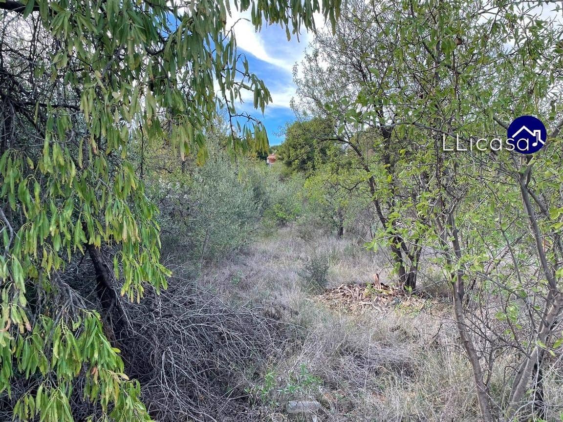 Bouwgrond te koop in Casinos - € 85.000 (Ref: 8534124)