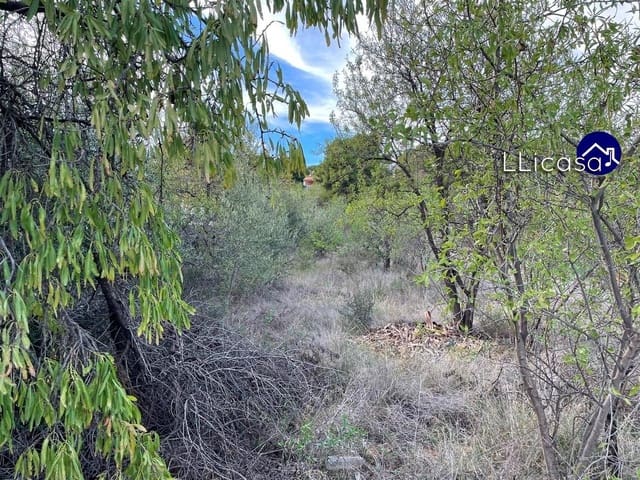 Tomt till salu i Casinos - 85 000 € (Ref: 8534124)