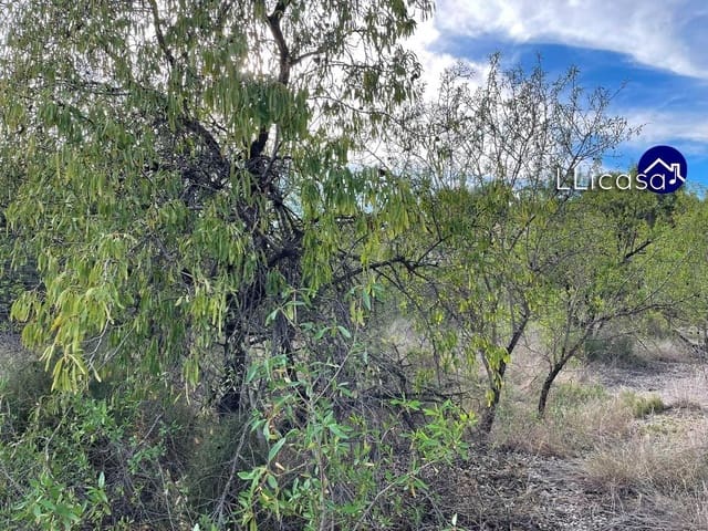 Tomt till salu i Casinos - 85 000 € (Ref: 8534124)