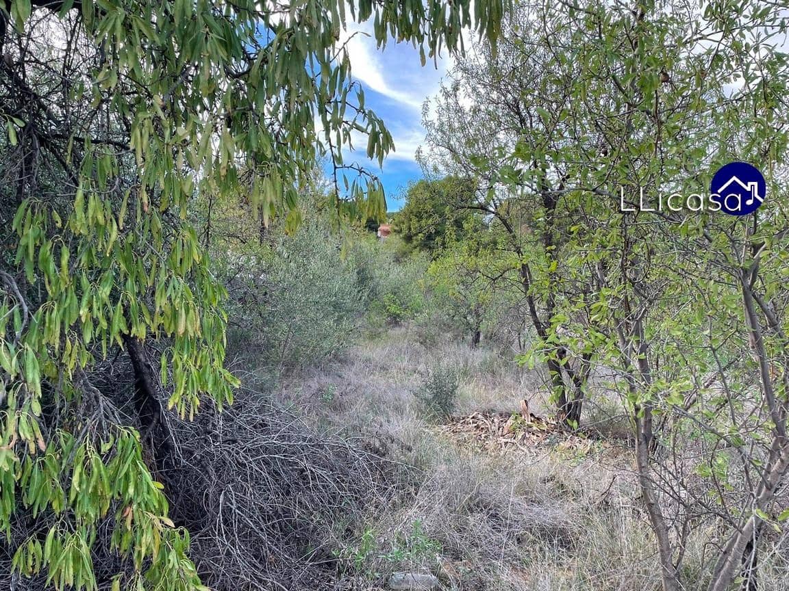 Bouwgrond te koop in Casinos - € 85.000 (Ref: 8534124)