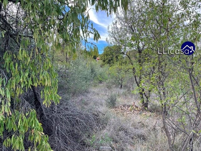 Tomt till salu i Casinos - 85 000 € (Ref: 8534124)