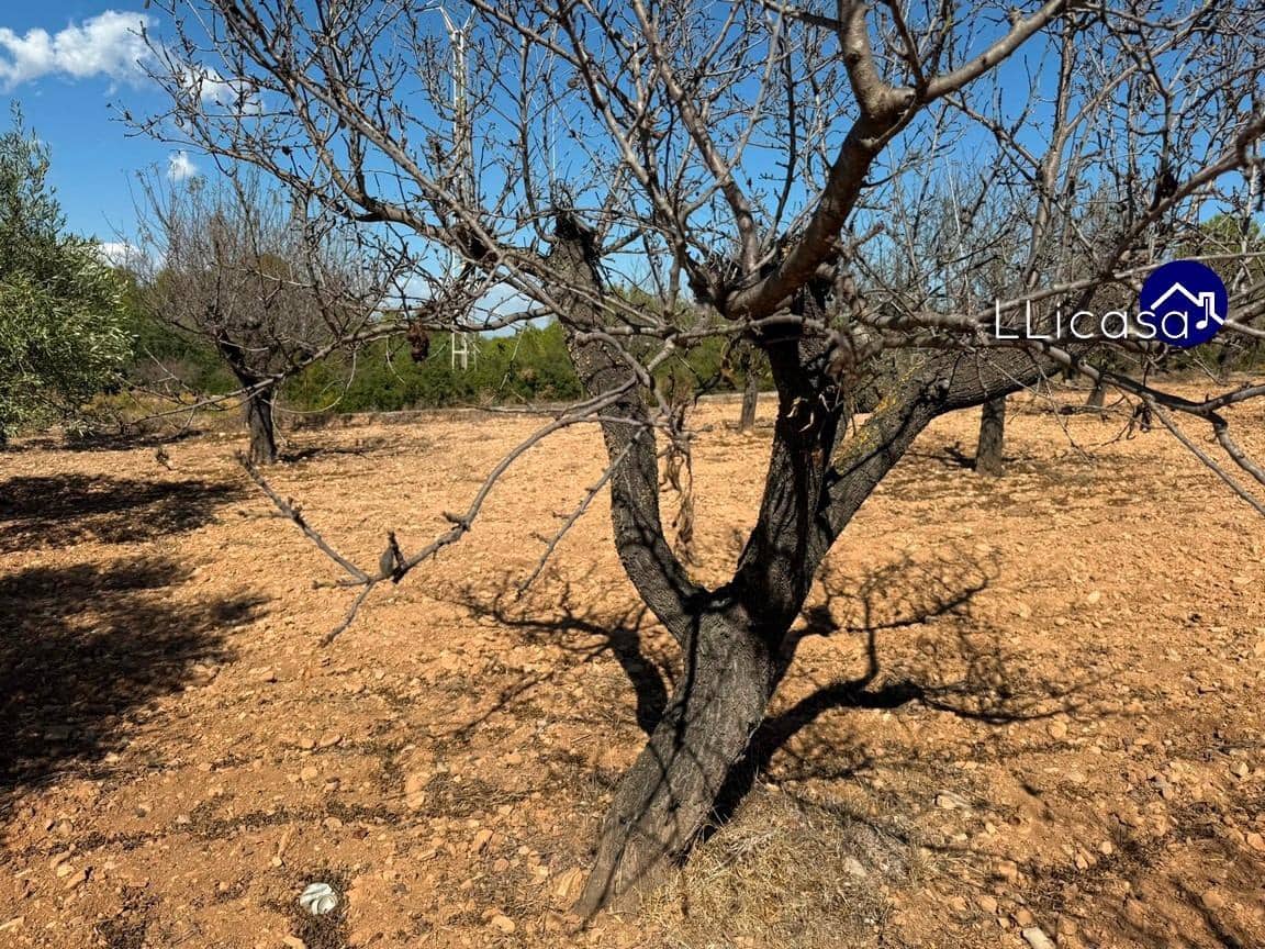 5 soverom Villa til salgs i Bunol med svømmebasseng - € 275 000 (Ref: 9265435)