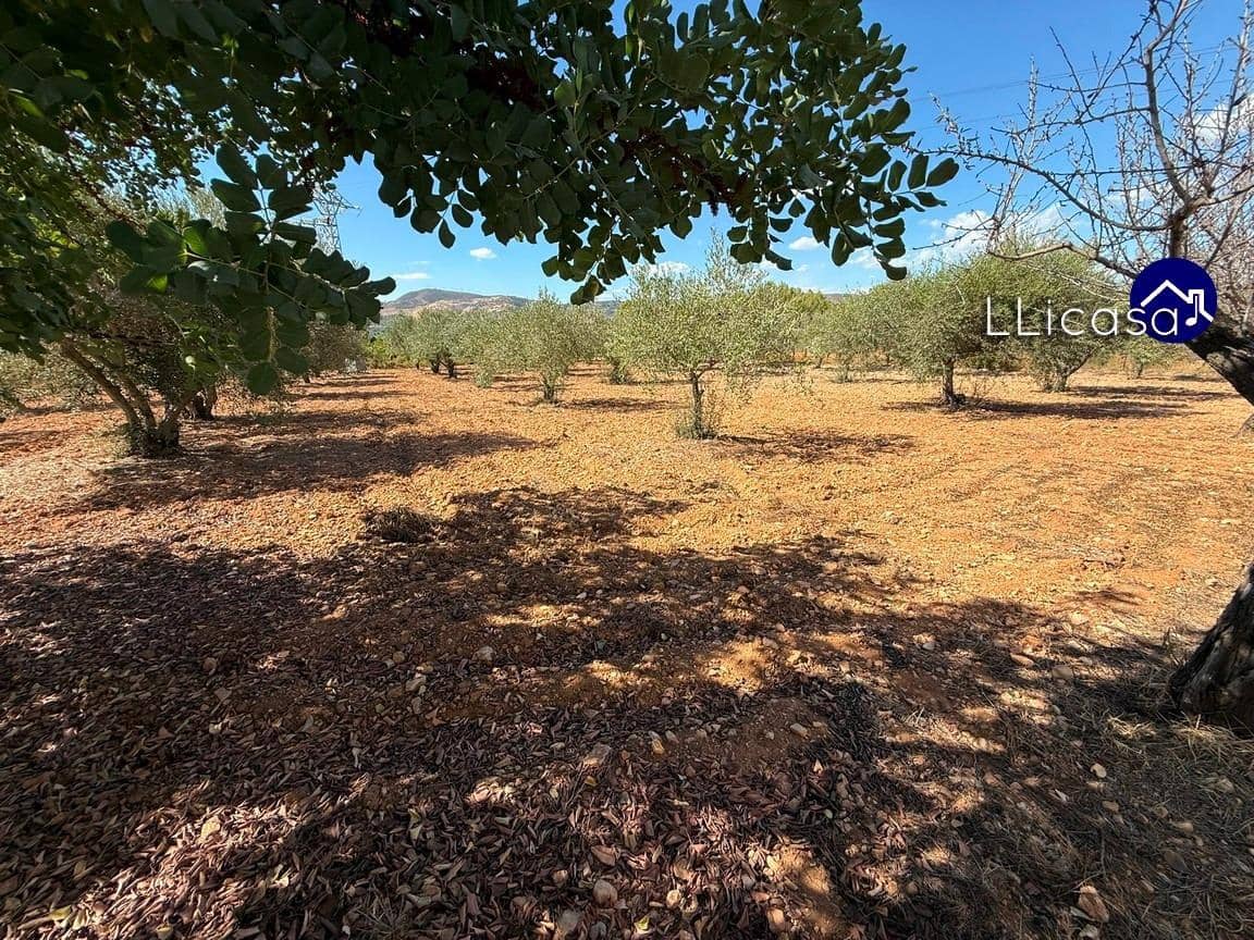 5 soverom Villa til salgs i Bunol med svømmebasseng - € 275 000 (Ref: 9265435)