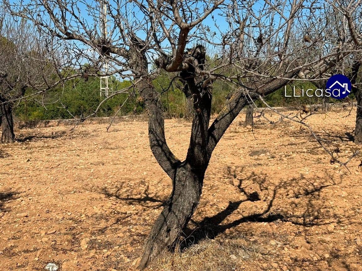 5 soverom Villa til salgs i Bunol med svømmebasseng - € 275 000 (Ref: 9265435)