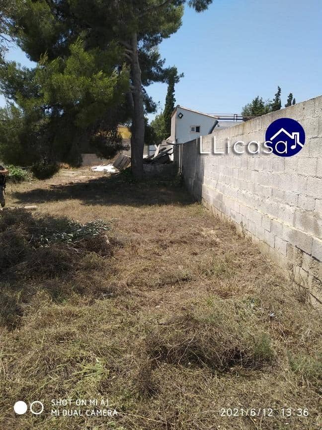 Tomt till salu i Lliria - 75 000 € (Ref: 9396173)