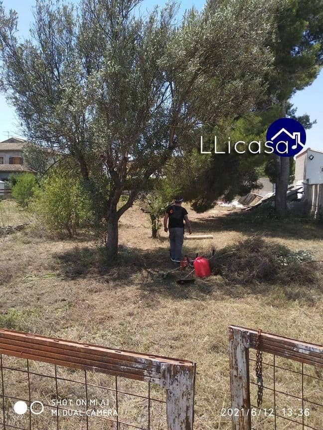 Tomt till salu i Lliria - 75 000 € (Ref: 9396173)